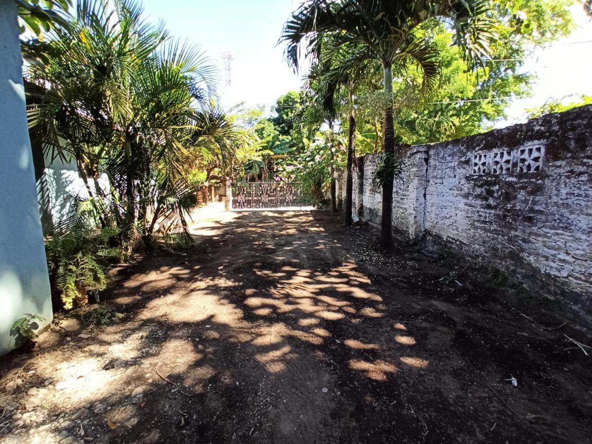 Bed and Breakfast Ometepe House Moyogalpa Exterior foto