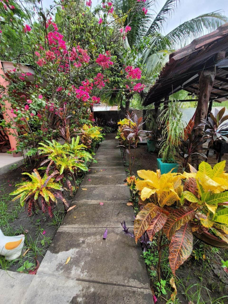 Bed and Breakfast Ometepe House Moyogalpa Exterior foto
